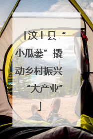 汶上县“小瓜蒌”撬动乡村振兴“大产业”